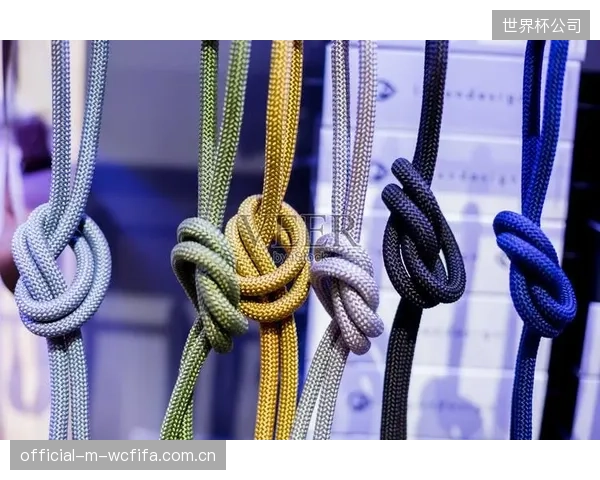 面对层出不穷的尼龙绳索和锁闭结构方案，国家安全标准为何迟迟未能统一？谁来为市场的混乱和用户的风险买单？